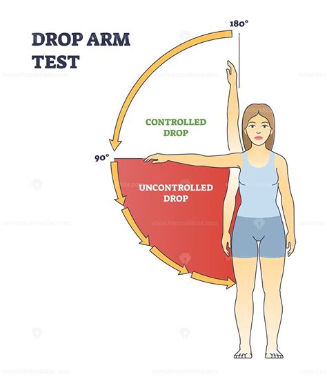 drop test muskuloskeletal|drop arm test interpretation.